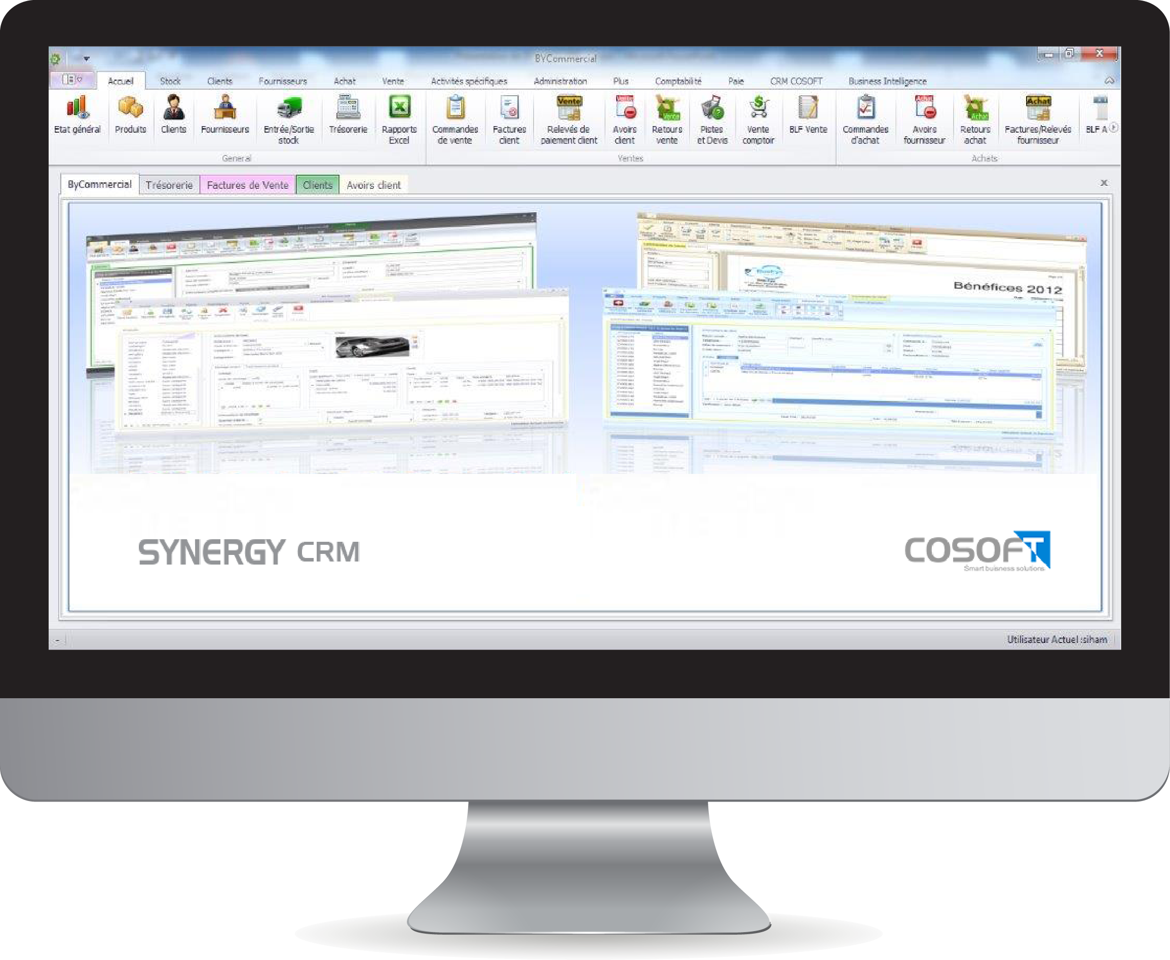 cosoft synergy crm
